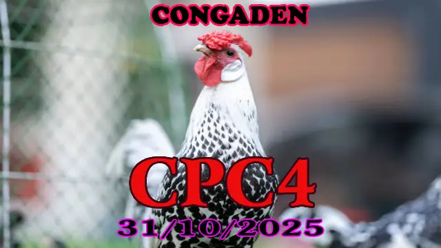 Xem lại clip đá gà Thomo CPC4 ngày 31/10/2025 1 Xem lại clip đá gà Thomo CPC4 ngày 31/10/2025