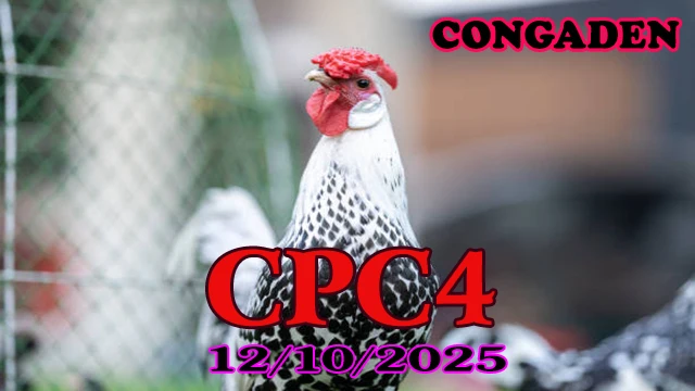 Xem Lại Clip Đá Gà C4 Hôm Nay 12/10/2025 1 Xem Lại Clip Đá Gà C4 Hôm Nay 12/10/2025