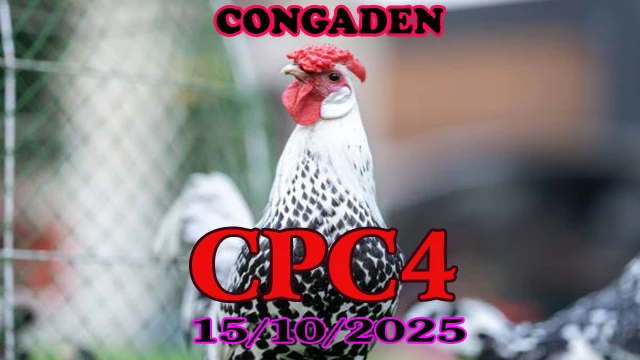 Xem lại đá gà Thomo hôm nay c4 ngày 15/10/2025 1 Xem lại đá gà Thomo hôm nay c4 ngày 15/10/2025