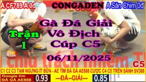 Gà Đá Giải C5 Trận 1: Anh CF789 A (0đ) vs A. Kẽ săn chim PQ (0đ)