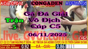 Gà Đá Giải C5 Trận 4: A.Cọp CPC (1đ-đỏ) vs A.CF789 A (0đ-xanh)