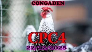 Đá gà CPC4 trực tiếp hôm nay 22122025 full trận