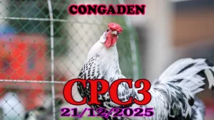 Video trực tiếp đá gà CPC3 ngày 21122025 full trận